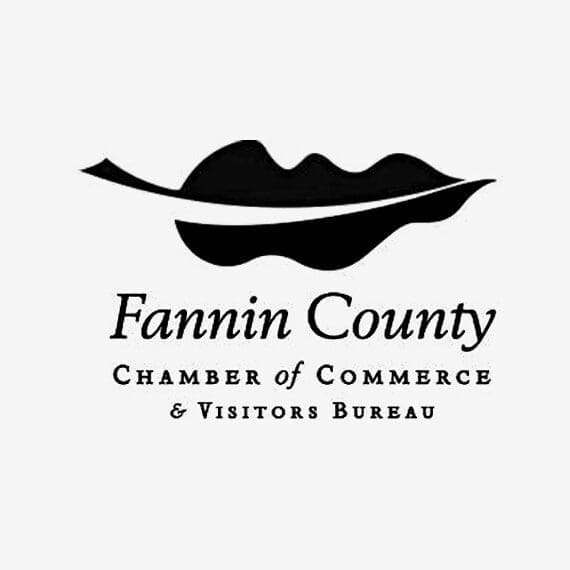 fannincounty Visit Fannin County Kiosk